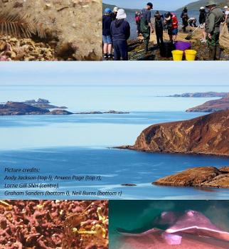 An amazing diversity of seabed habitats and animals can be found within the Wester Ross MPA